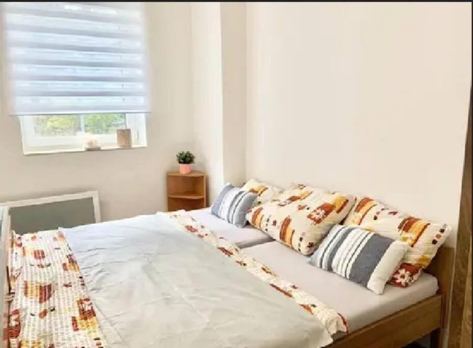Utulny Byt V Jizerskych Horach -Apartman Mili Korenov Exterior photo